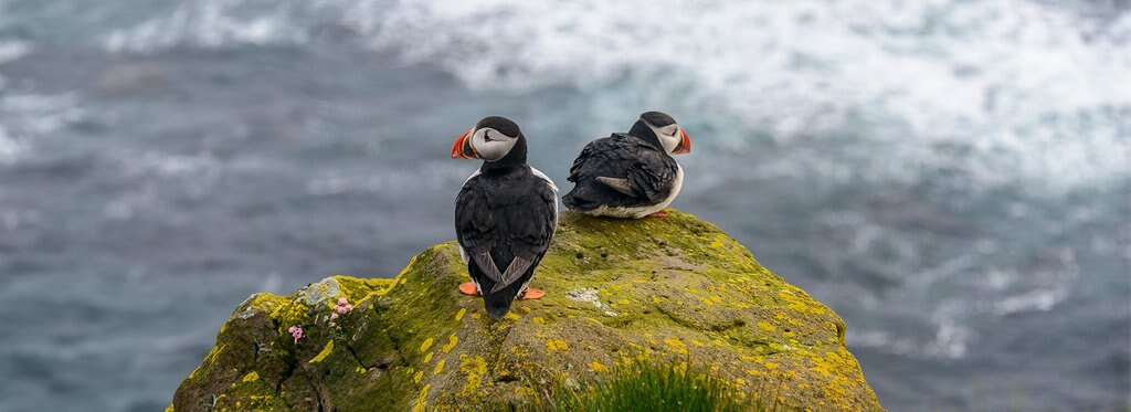 Movie poster Iceland, the Newborn Island