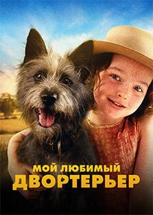 Movie Runt 2024