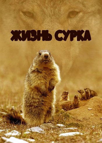 Фильм Жизнь сурка 2023