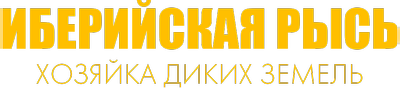 Иберийская рысь - хозяйка диких земель