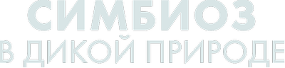 Симбиоз в дикой природе