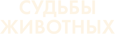 Судьбы животных