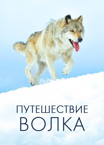 Фильм Путешествие волка 2018