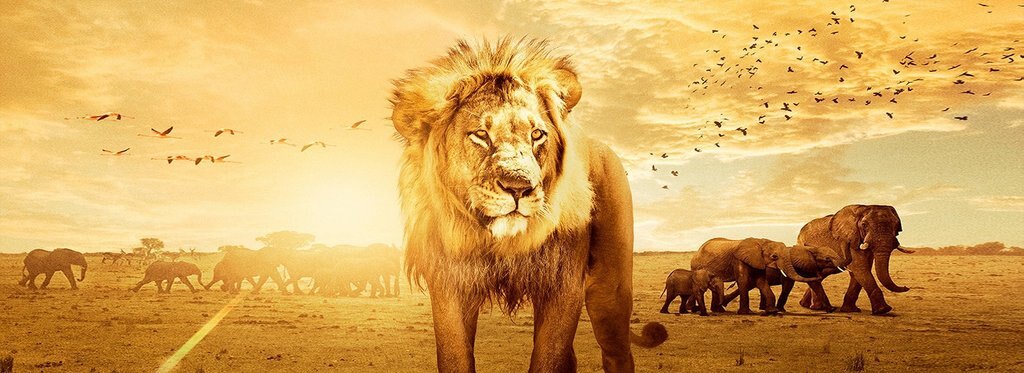 Movie poster Enchanted Kingdom