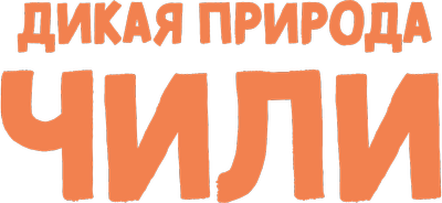 Дикая природа Чили