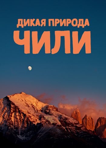 Фильм Дикая природа Чили 2017