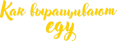 Как выращивают еду