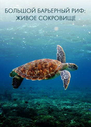 Series The Great Barrier Reef: A Living Treasure 2020
