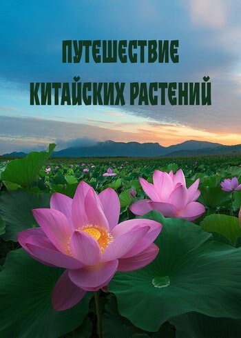 Series The Journey of Chinese Plants 2020