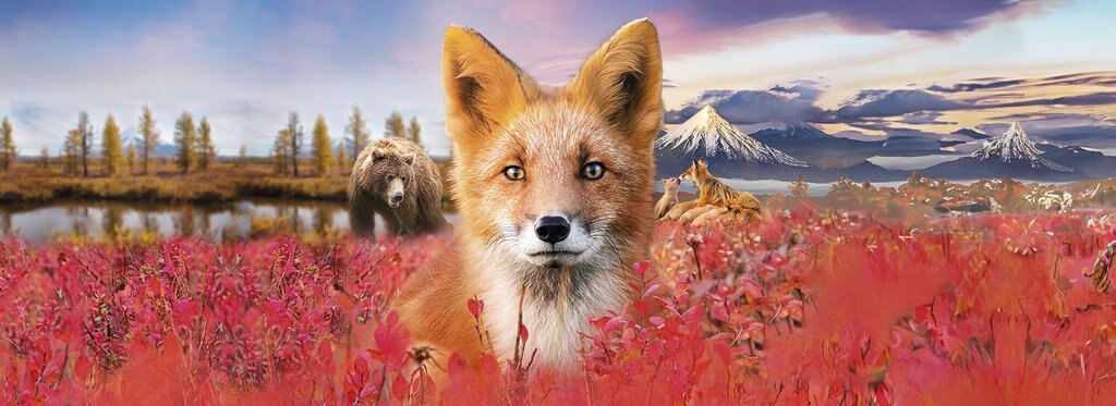 Movie poster Fire Fox