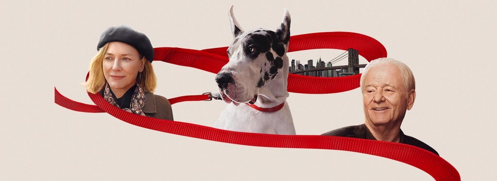 Movie poster The Friend