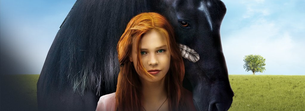 Movie poster Windstorm