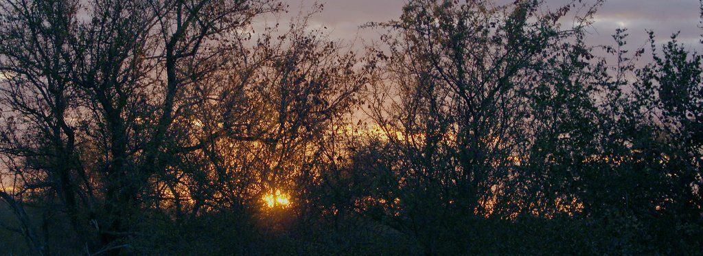 Постер фильма Мастера выживания