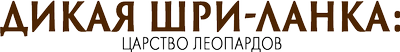 Дикая Шри-Ланка: царство леопардов