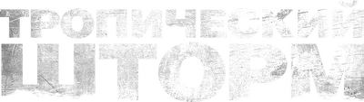 Тропический шторм