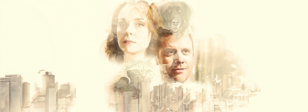 Постер сериала Доктор Котов