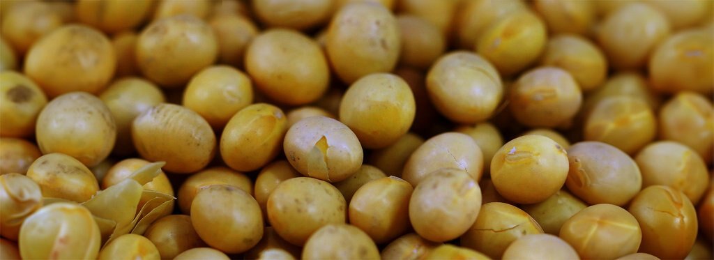 Постер фильма Искусство производить тофу