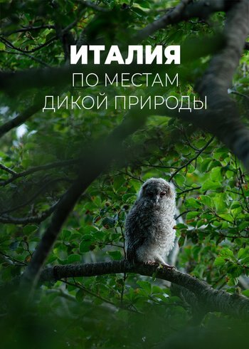 Сериал Италия. По местам дикой природы 2023