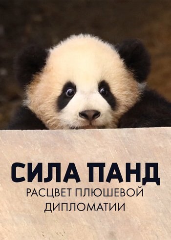 Series Panda Power: Rise of the Furry Diplomats 2023
