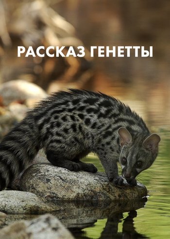 Movie Рассказ генетты 2016