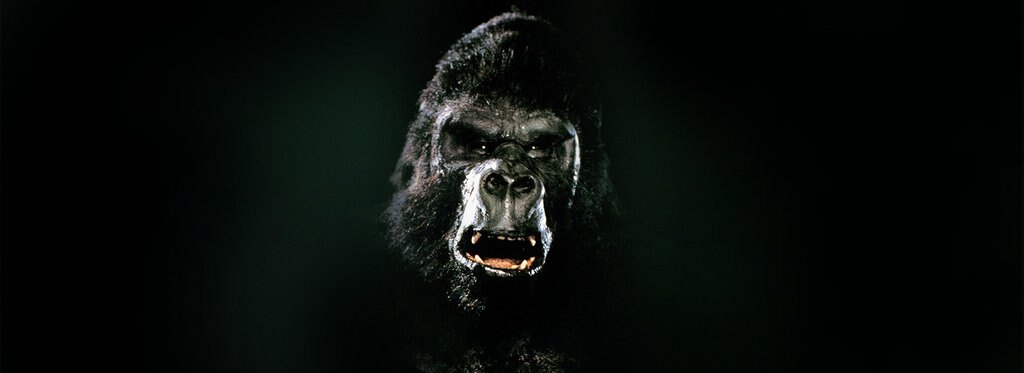 Постер фильма Кинг Конг жив