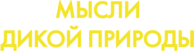 Мысли дикой природы