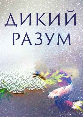 Сериал Дикий Разум 2022