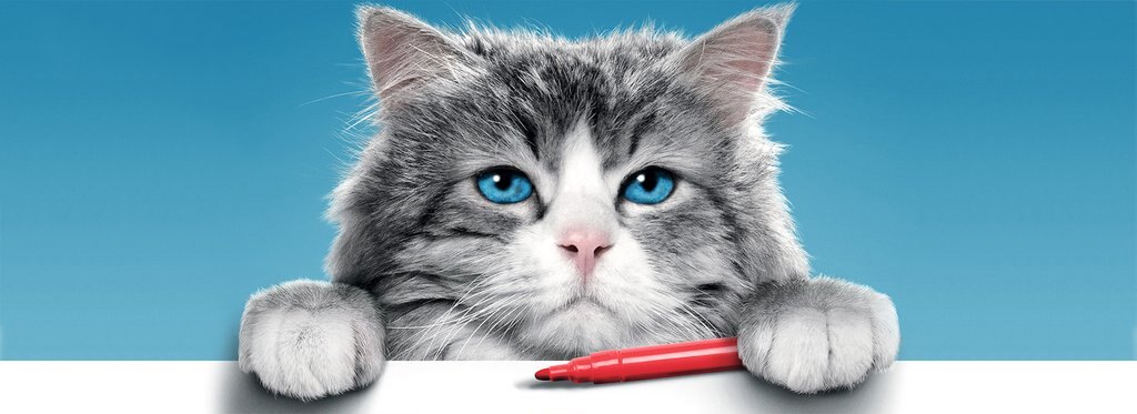 Постер фильма Девять жизней