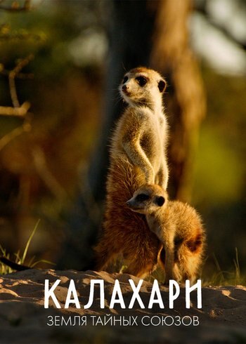Series Kalahari, Land of Secrets Alliances 2020