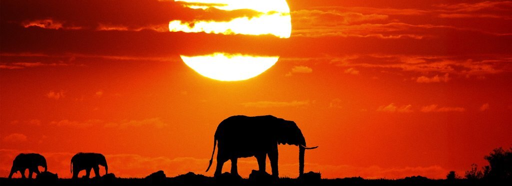 Постер фильма Героини Саванны