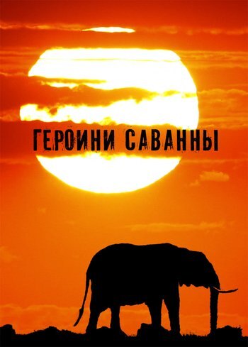 Фильм Героини Саванны 2022