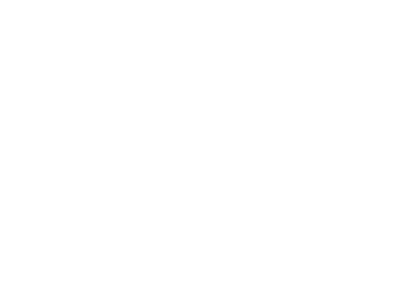 Слонов — на мясо