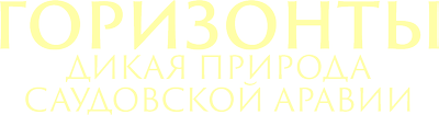 Горизонты: Дикая природа Саудовской Аравии