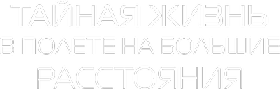 Тайная жизнь в полете на большие расстояния