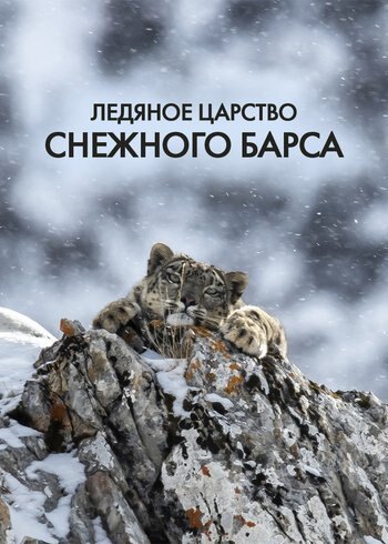 Фильм Ледяное царство снежного барса 2020