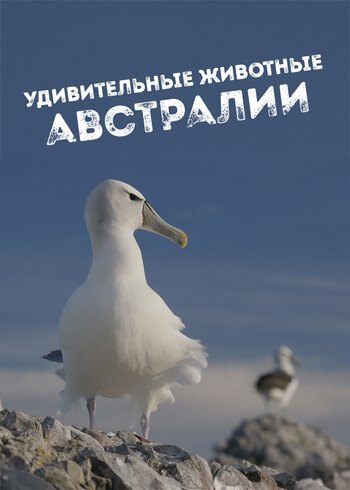 Сериал Удивительные животные Австралии 2024