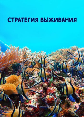 Сериал Стратегия выживания 2017