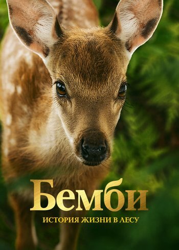 Фильм Бемби. История жизни в лесу 2024