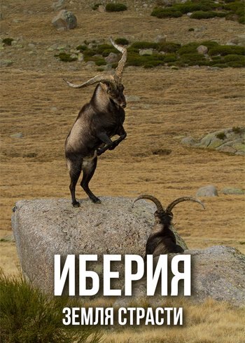 Фильм Иберия – земля страсти 2020