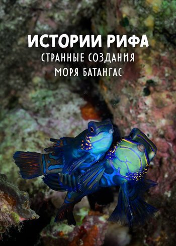 Series Reef Stories 2018