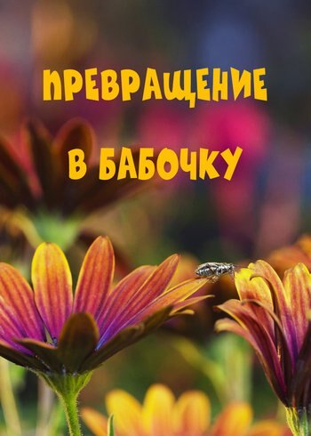 Фильм Превращение в бабочку 2021