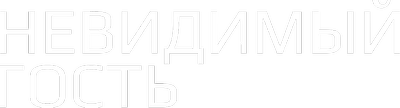 Невидимый гость