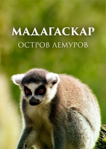 Фильм Мадагаскар: остров лемуров 2015