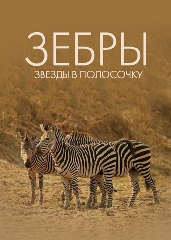 Фильм Зебры: звёзды в полосочку 2022