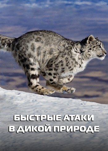 Сериал Быстрые атаки в дикой природе 2022