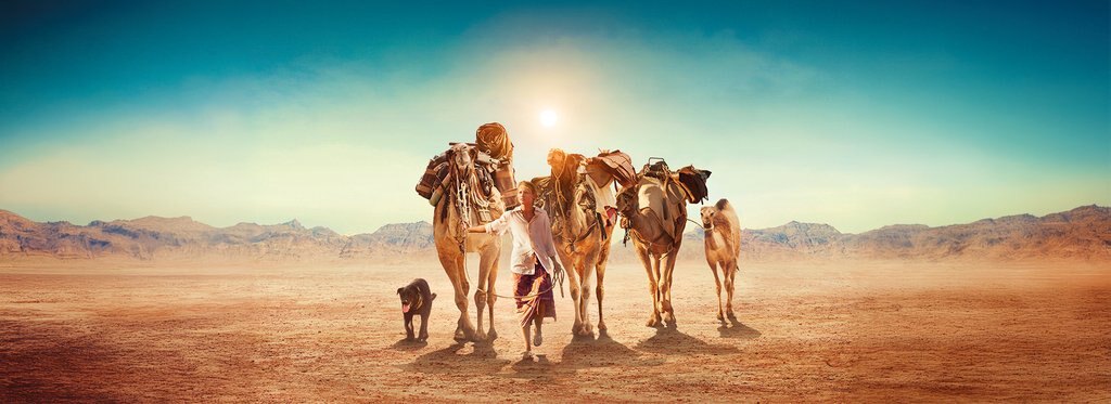 Постер фильма Тропы