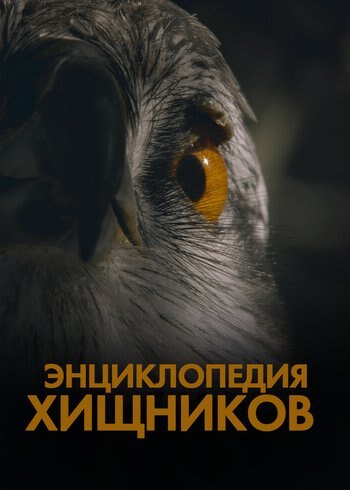 Movie The Predators' Playbook 2019