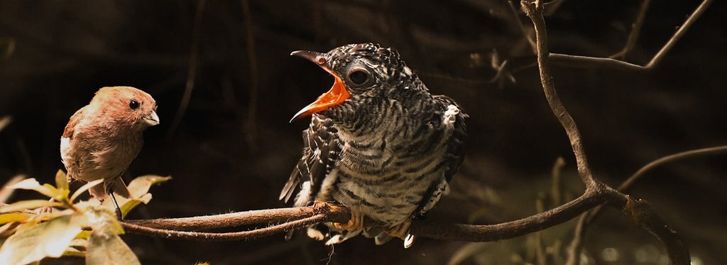 Series poster Moment