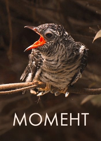 Сериал Момент 2016