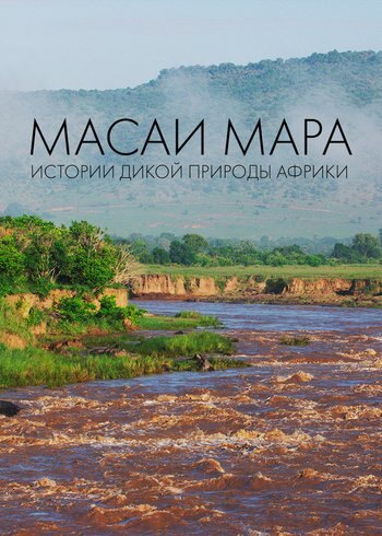 Movie Masai Mara. African Wildlife Stories 2019